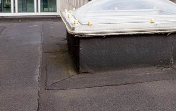 disadvantages of Hassall flat roofs
